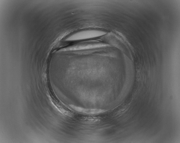 X0000080660443200701050947