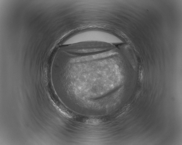 X0000080660444200701050947