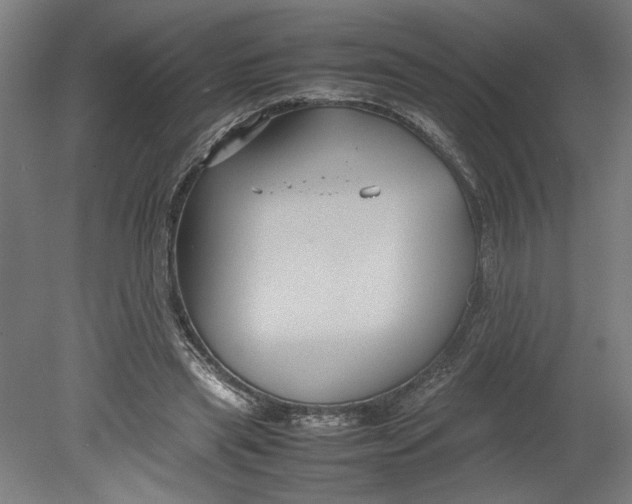 X0000080660445200701050947