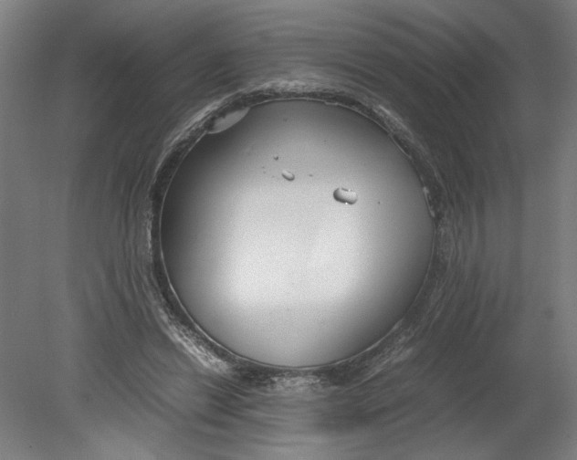 X0000080660446200701050947