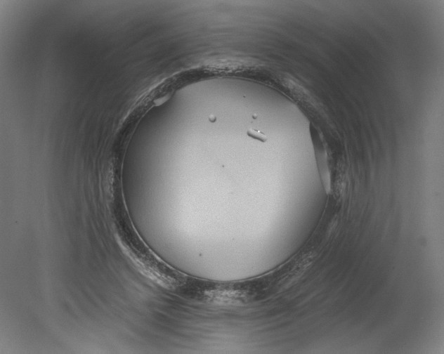 X0000080660448200701050947