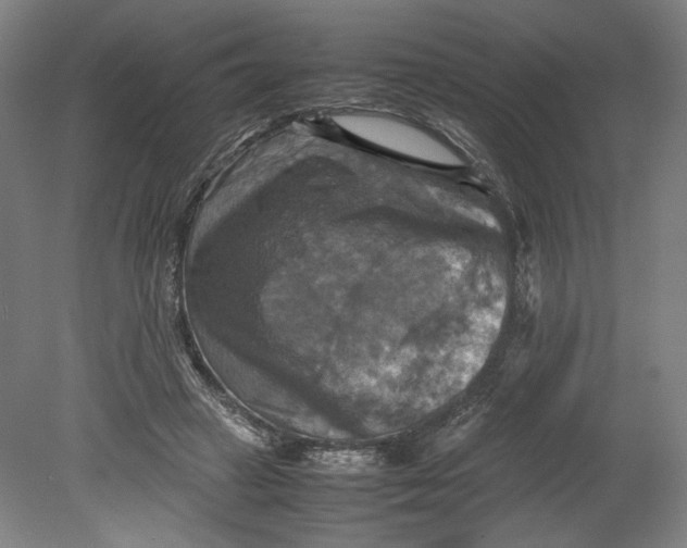 X0000080660449200701050947