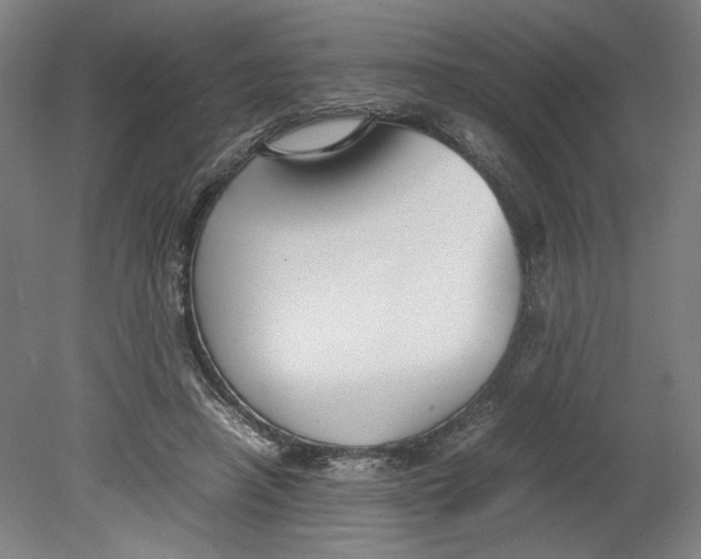 X0000080660450200701050947