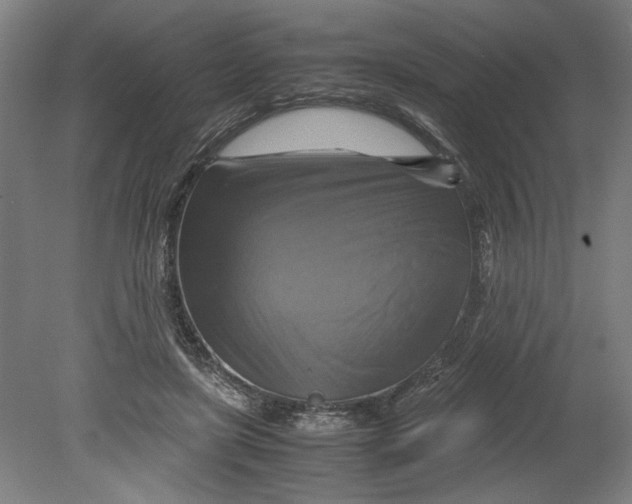 X0000080660451200701050947