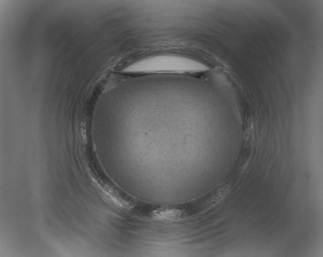 X0000080660452200701050947