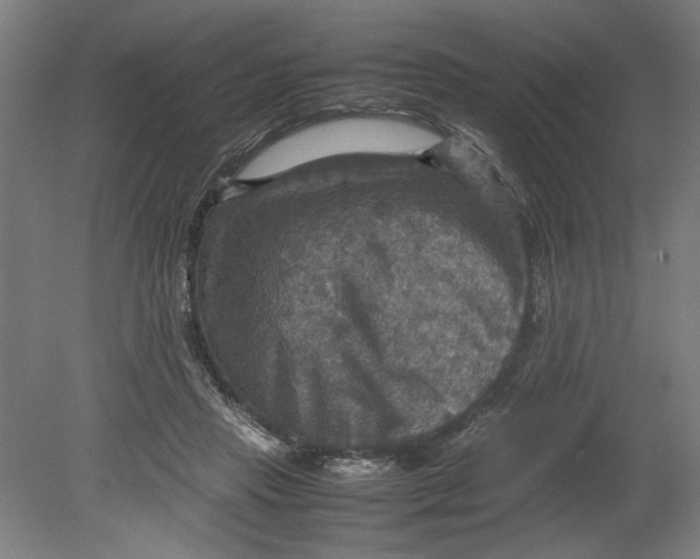 X0000080660453200701050947