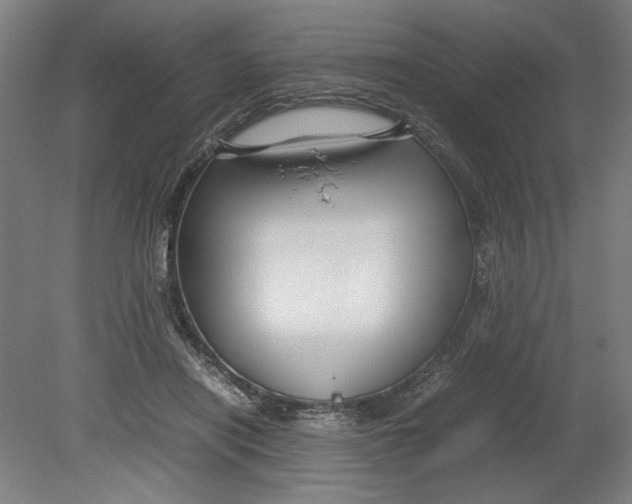 X0000080660454200701050947