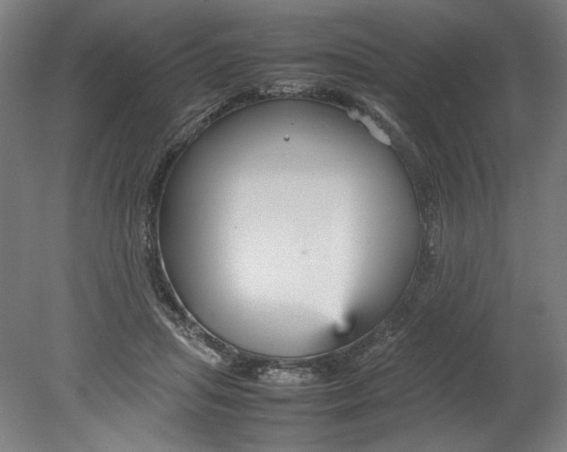 X0000080660455200701050947