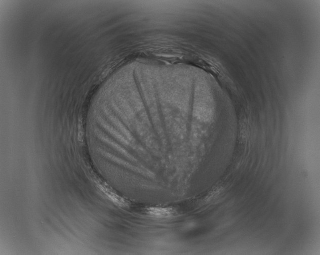 X0000080660457200701050947