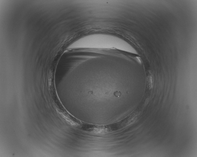 X0000080660458200701050947