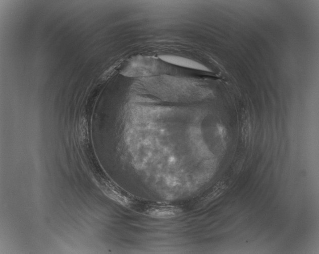 X0000080660459200701050947