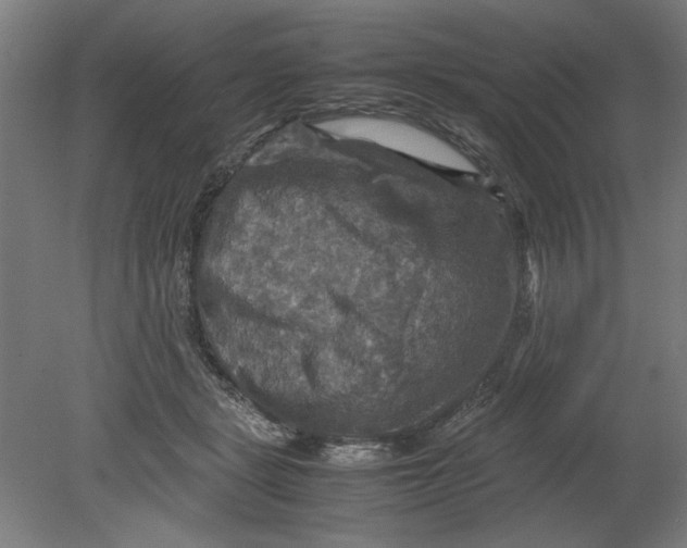 X0000080660461200701050947