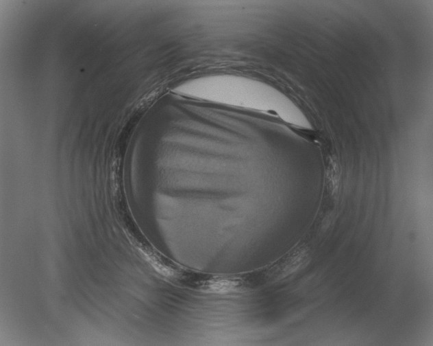 X0000080660462200701050947