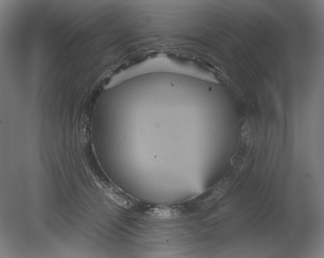 X0000080660464200701050947