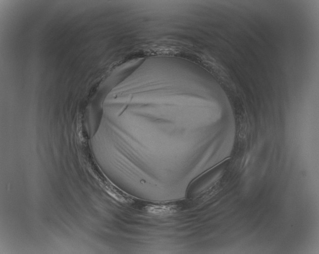 X0000080660465200701050947