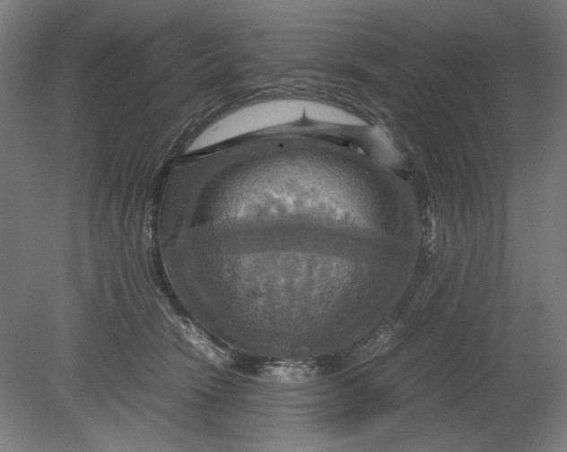 X0000080660466200701050947