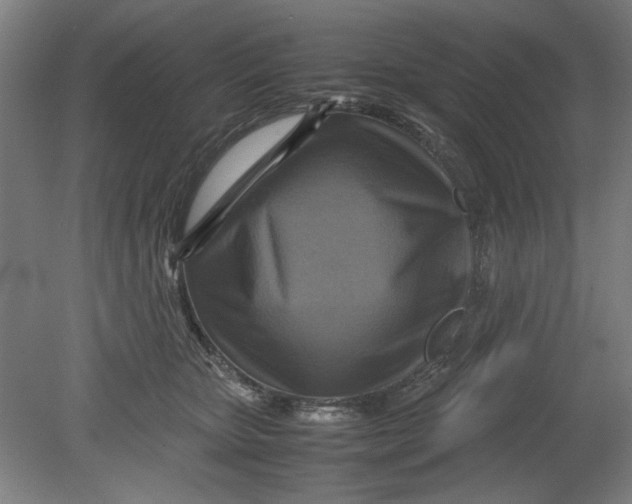 X0000080660467200701050947