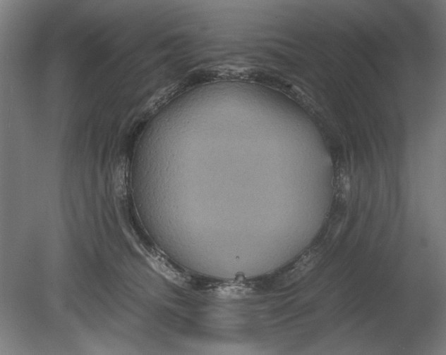 X0000080660468200701050947