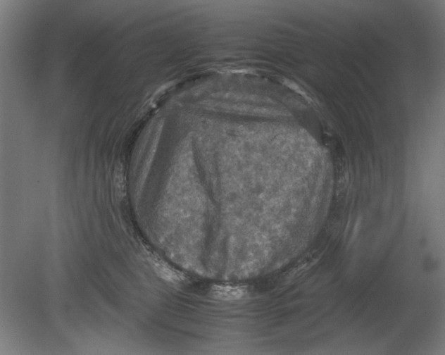 X0000080660469200701050947