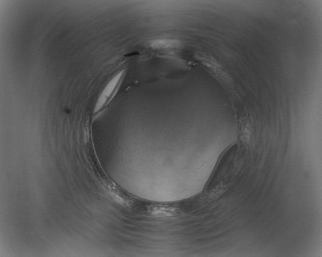 X0000080660471200701050947