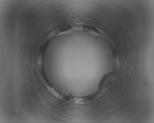 X0000080660472200701050947