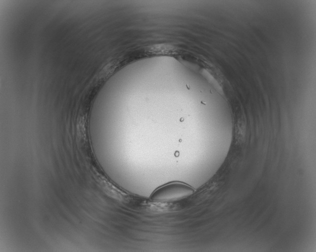 X0000080660473200701050947