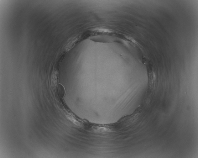 X0000080660475200701050947