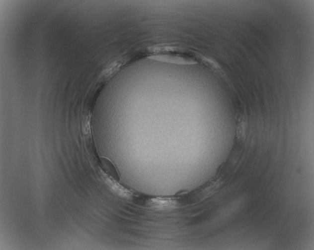 X0000080660477200701050947