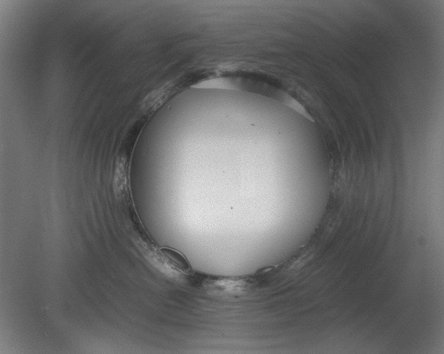 X0000080660478200701050947