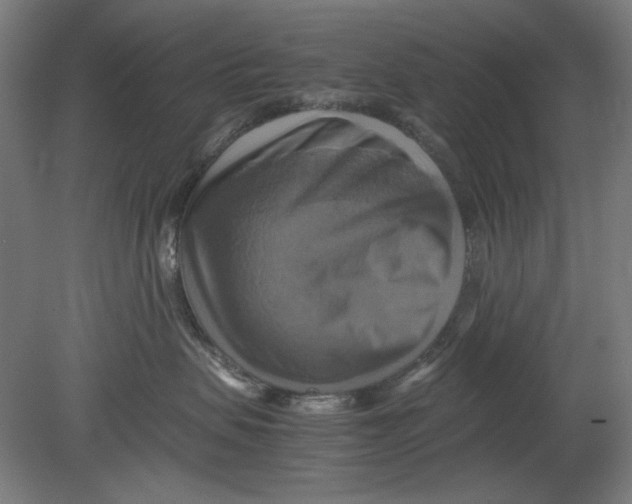 X0000080660479200701050947