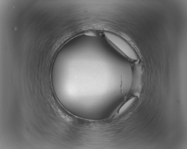 X0000080660481200701050946