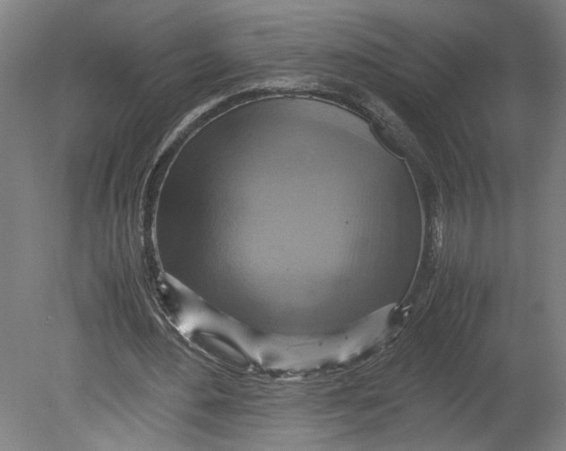 X0000080660484200701050946