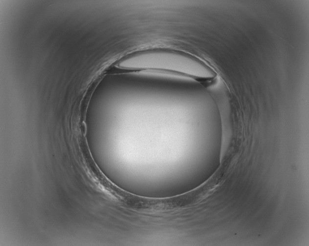 X0000080660485200701050946