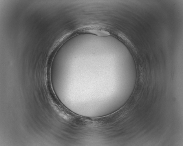 X0000080660486200701050946