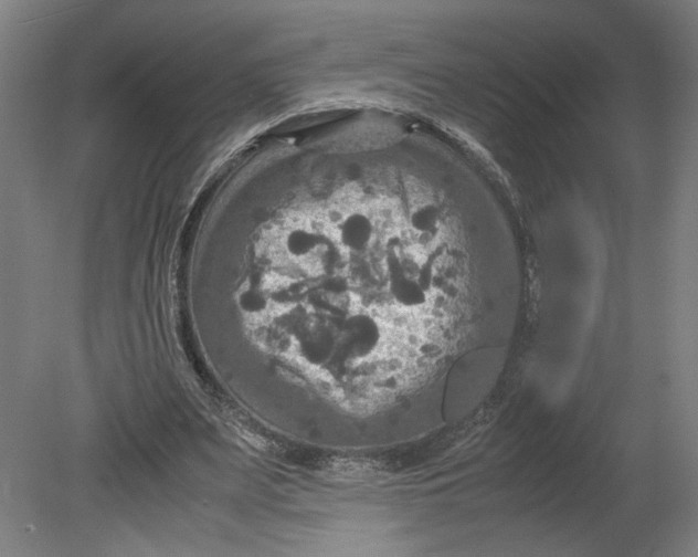 X0000080660487200701050946