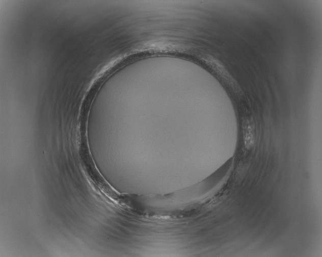 X0000080660488200701050946