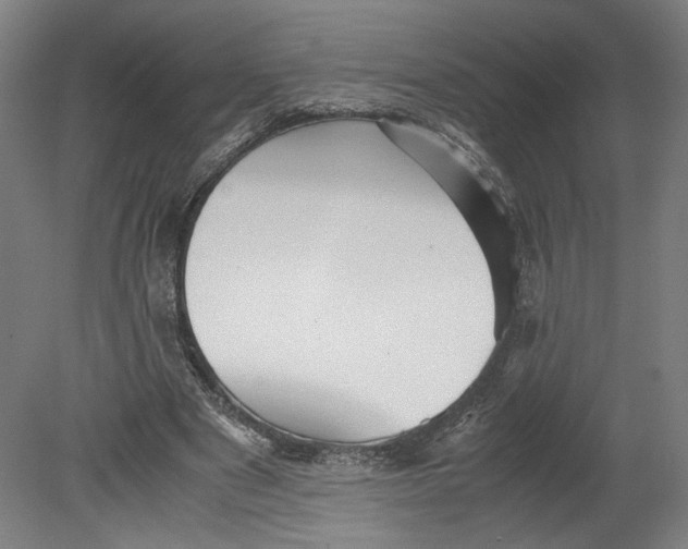 X0000080660489200701050946