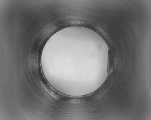 X0000080660490200701050946