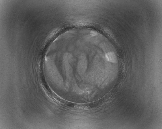 X0000080660491200701050946