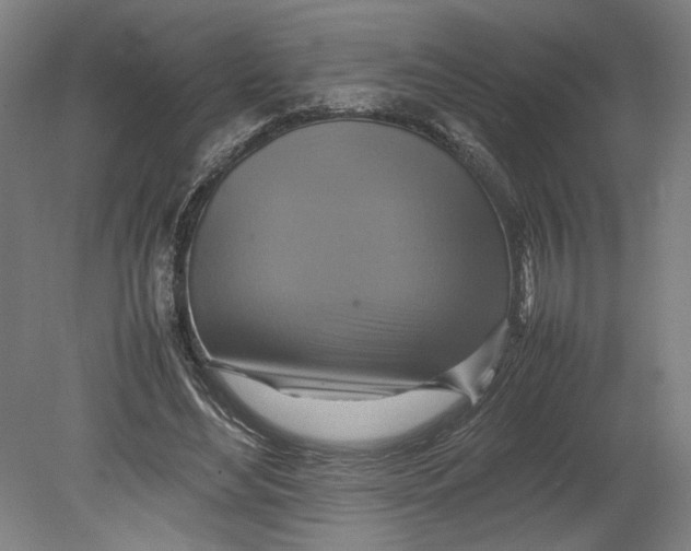 X0000080660492200701050946