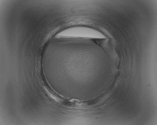 X0000080660493200701050946