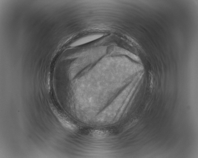 X0000080660494200701050946