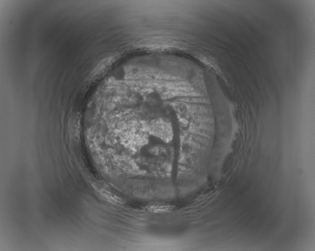 X0000080660495200701050946