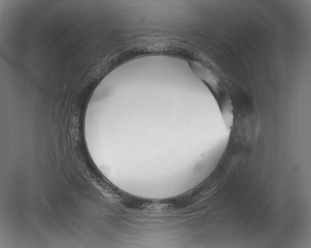 X0000080660497200701050946