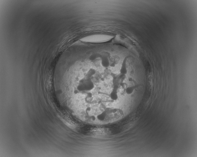 X0000080660499200701050946