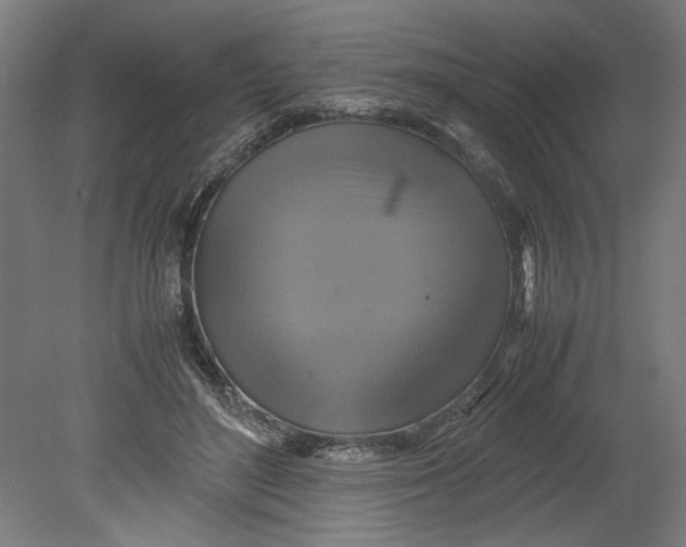 X0000080660500200701050946