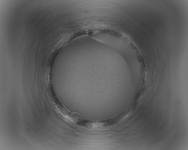 X0000080660501200701050946