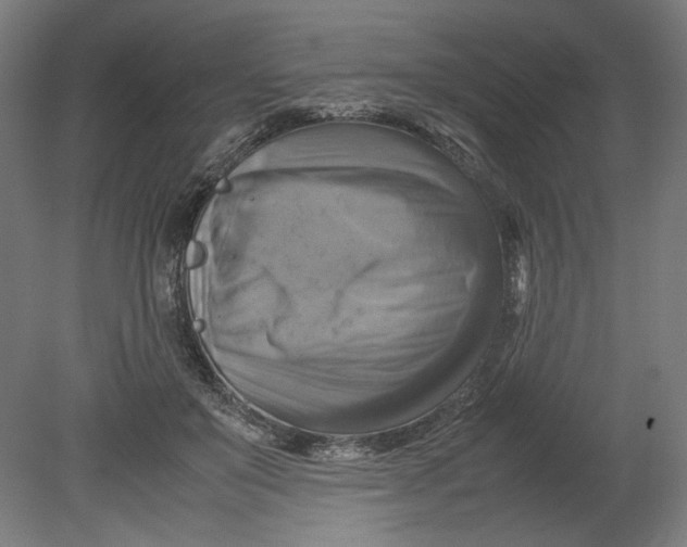 X0000080660503200701050946