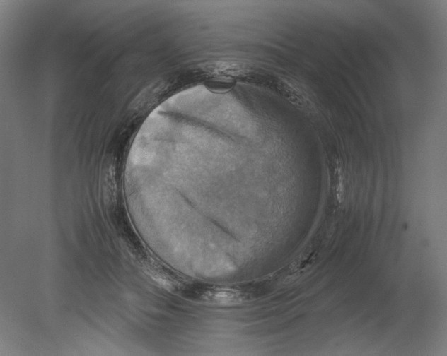 X0000080660506200701050946