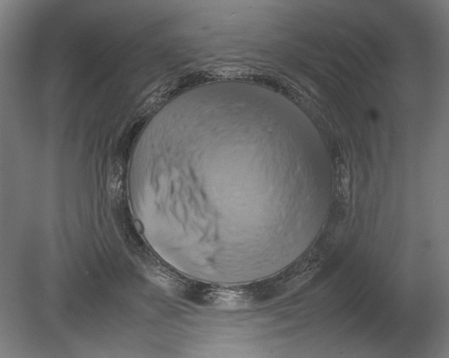 X0000080660507200701050946